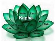 kapha